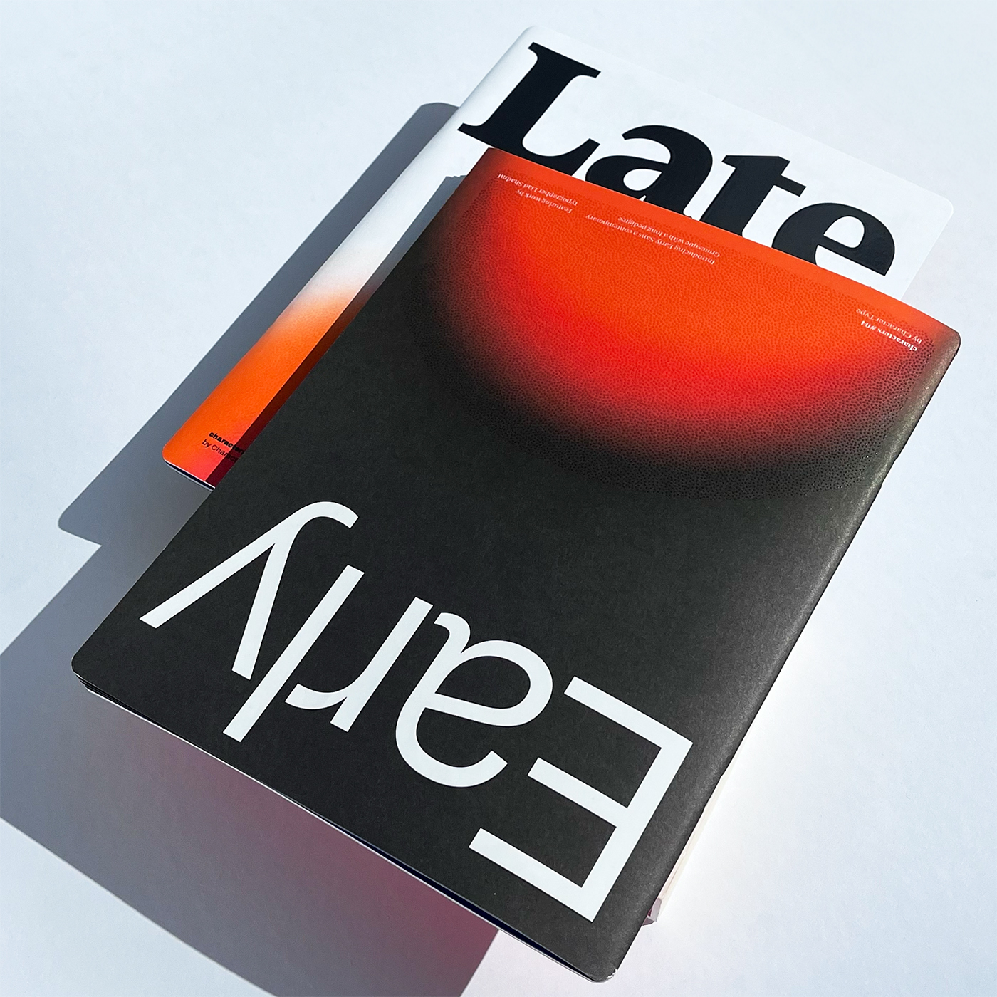 slanted-characters-04-magazin-typografie-schrift image 1