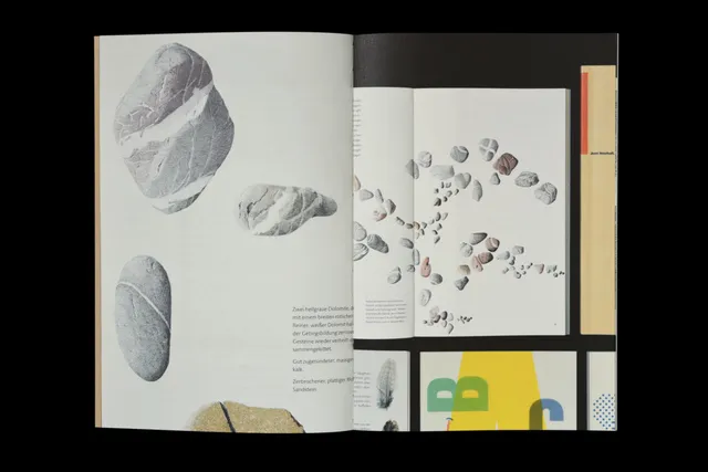 slanted-systematic-book-design-buch-buchgestaltung-raster image 1