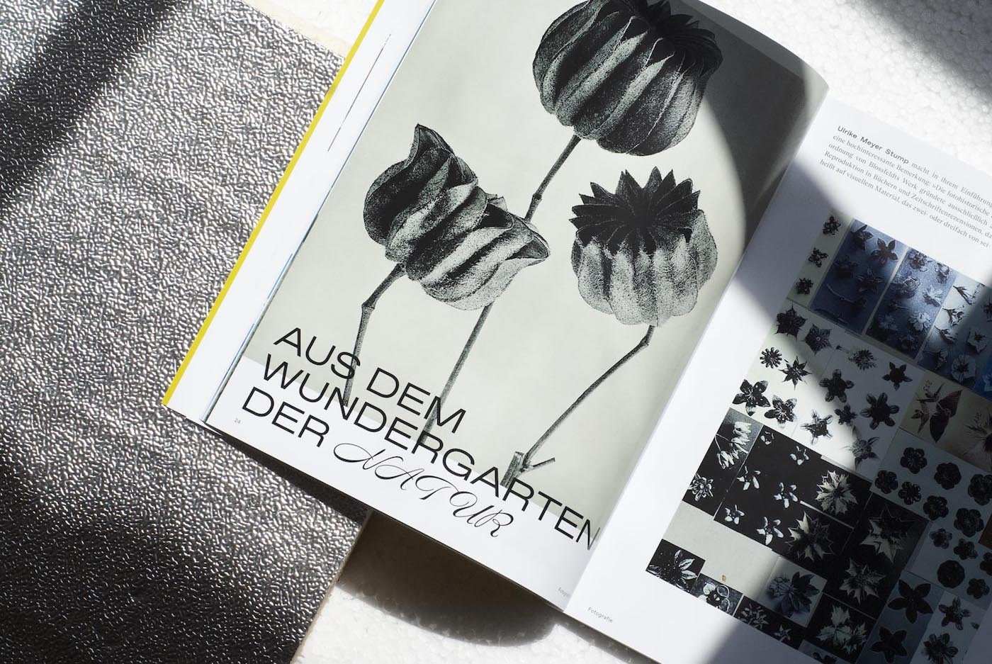 slanted-grafikmagazin-02-21-magazin-corporate-communication-design image 5