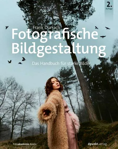 dpunkt-fotografische-bildgestaltung-buch-akzent-linie-fl-che image 1