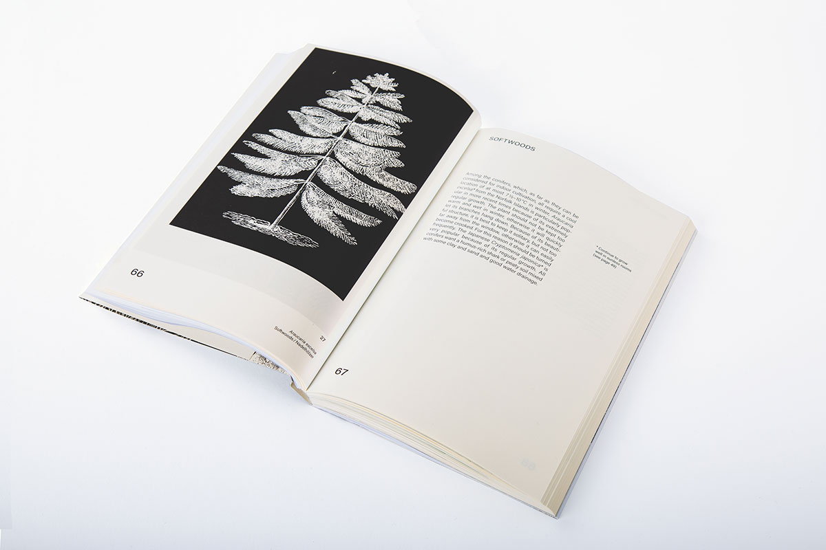 slanted-books-leafy-house-plants-buch-zimmerpflanzen image 3
