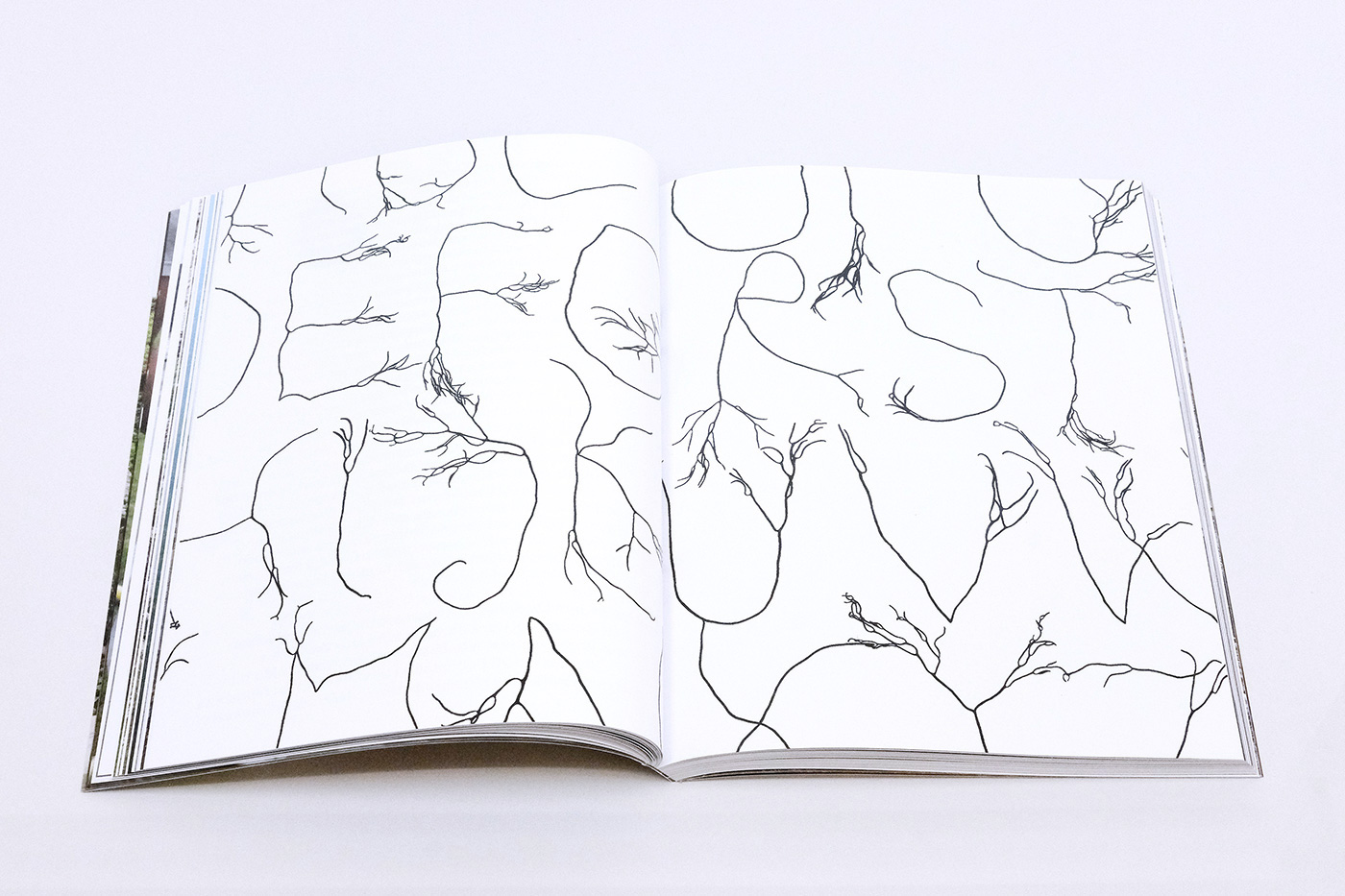 slanted-books-the-algae-paper-buch-material-nachhaltigkeit image 6
