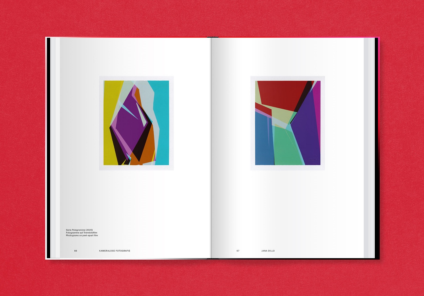 slanted-analog-total-fotografie-heute-foto-buch image 4