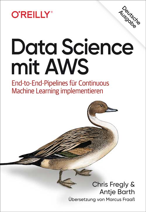 dpunkt-computing-data-science-mit-aws-buch-ml image 1