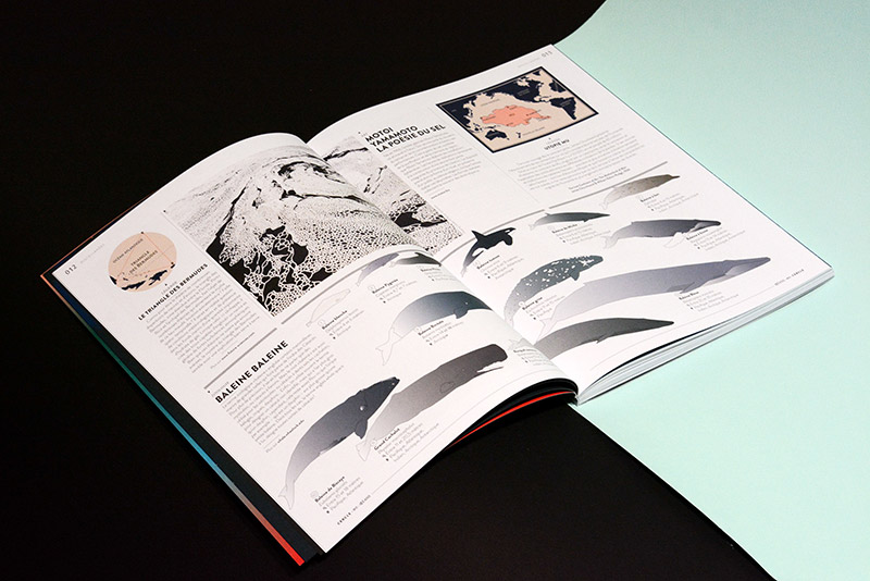 slanted-cercle-magazine-5-oceans-designmagazin image 1