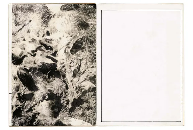 slanted-books-jan-holger-mauss-wild-thing-nr-1-bildband image 1