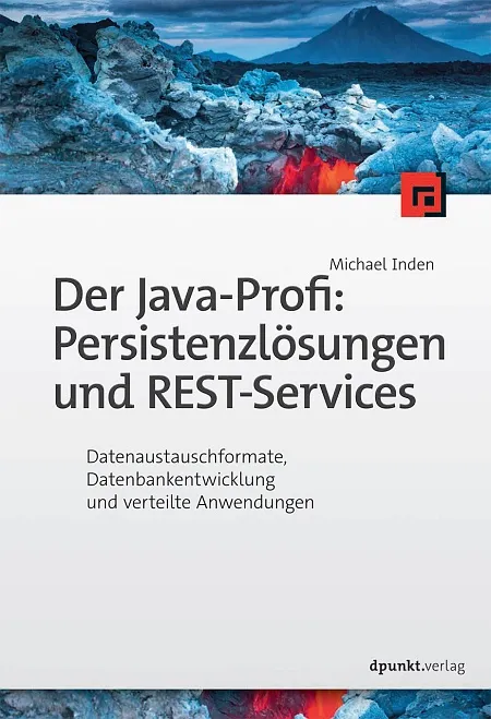 dpunkt-der-java-profi-buch-persistenzl-sungen-und-rest-services image 1