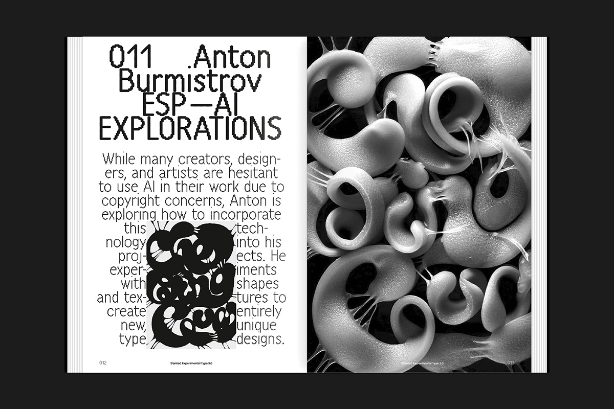 slanted-experimental-type-3-0-buch-typografie-experimentell image 5