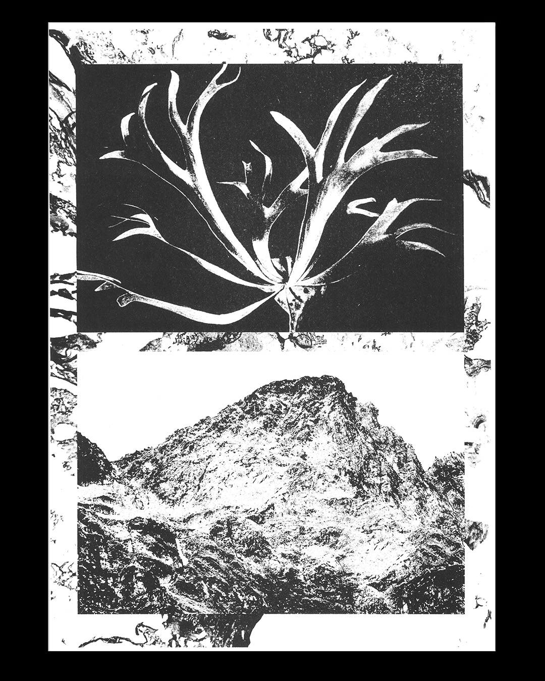 slanted-books-mountains-designbuch-berge image 3