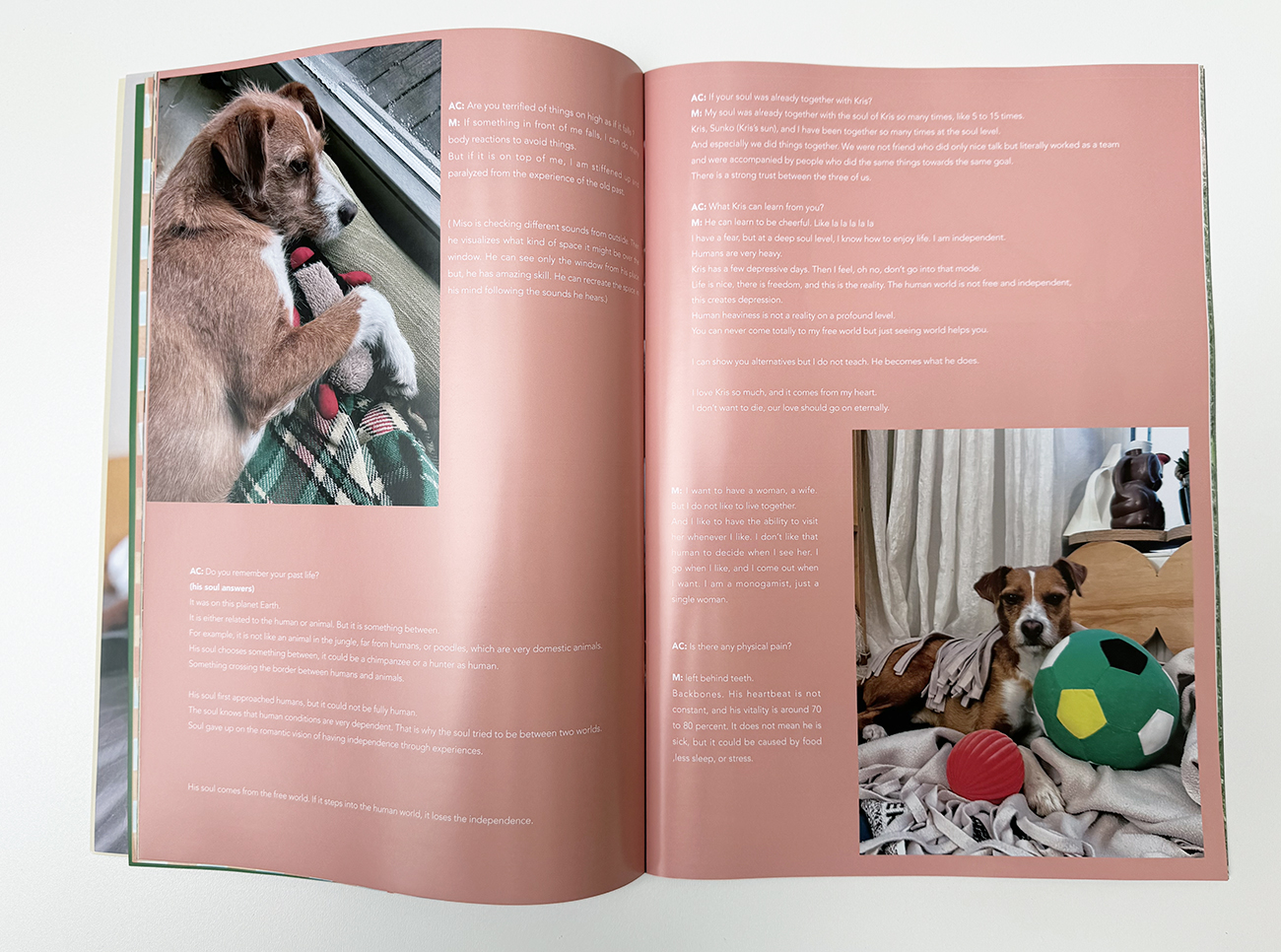 slanted-3-33333333-x-3-vol-1-dogs-in-berlin-buch-bildband image 3