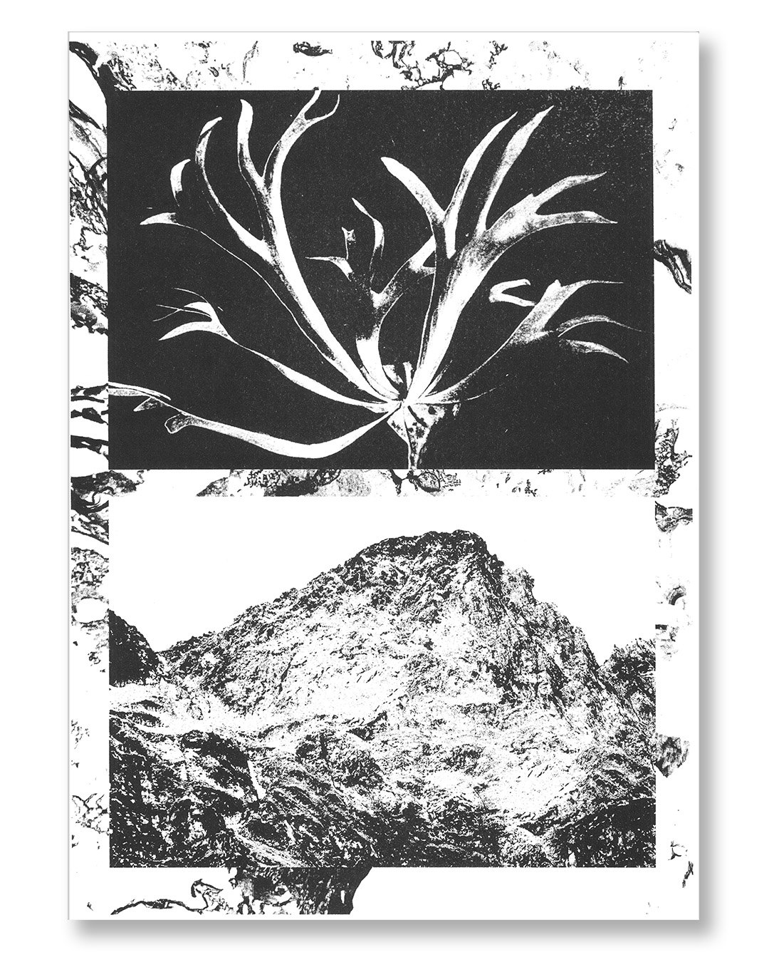 slanted-books-mountains-designbuch-berge image 1
