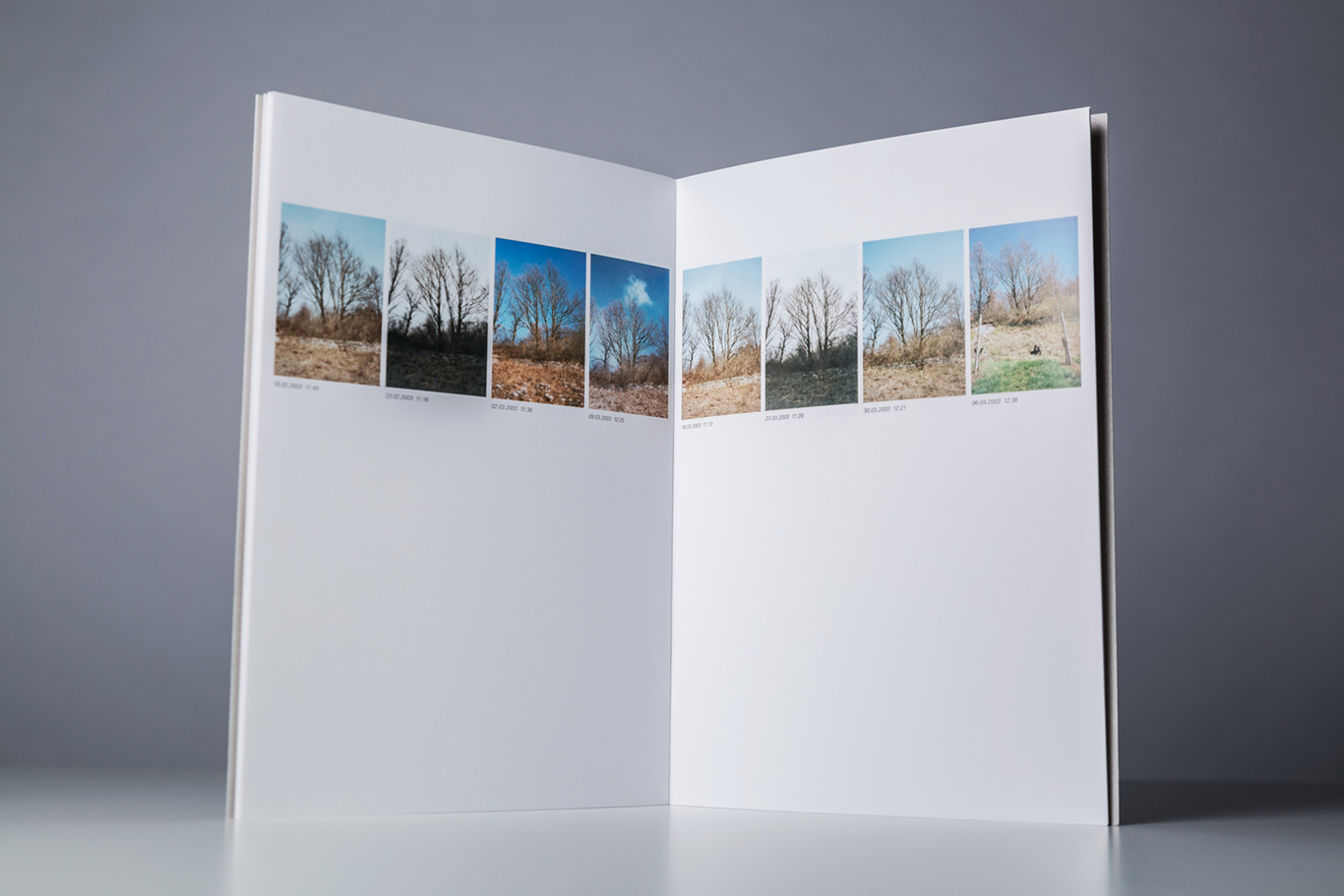 slanted-blas-fortschritt-durch-langeweile-buch-design image 6