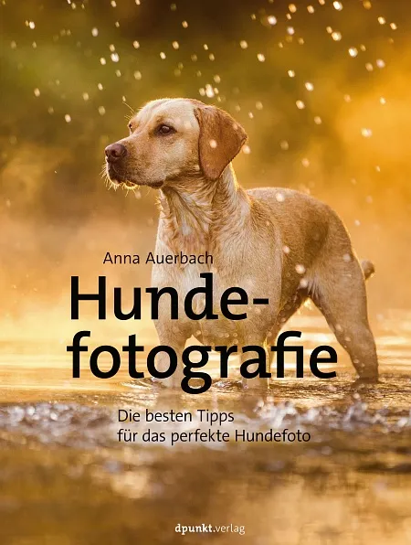 dpunkt-hundefotografie-buch-portr-ts-actionaufnahmen image 1