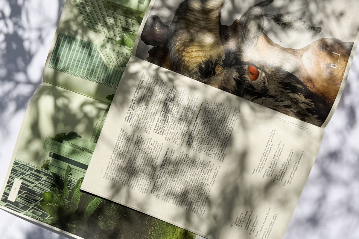 slanted-gaze-edition-01-about-exploring-magazin image 7