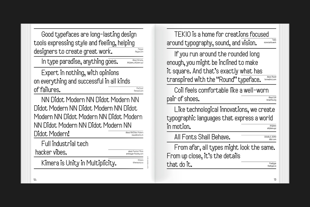 slanted-books-support-independent-type-ii-buch-fonts image 3