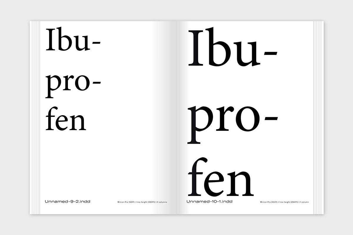 slanted-teasing-typography-buch-typografie image 6