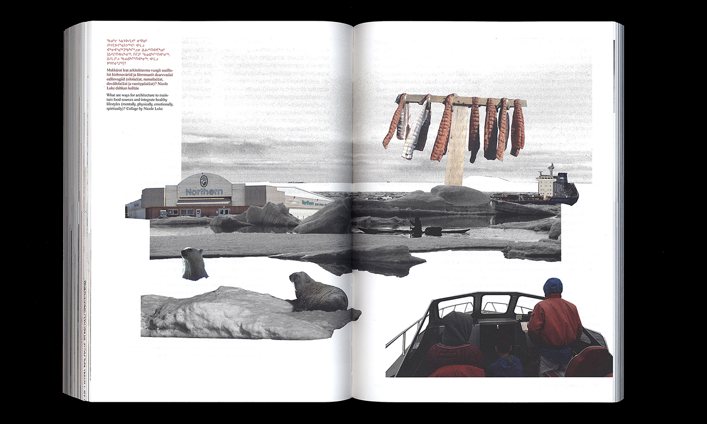 slanted-towards-home-ruovttu-guvlui-buch-kultur image 1