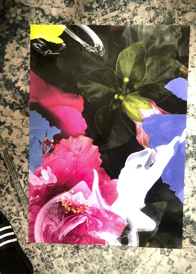slanted-hibiscus-no-1-buch-design-botanik-ausgabe image 1