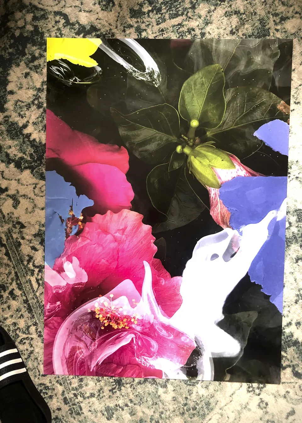 slanted-hibiscus-no-1-buch-design-botanik-ausgabe image 1