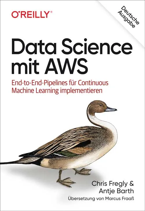 dpunkt-computing-data-science-mit-aws-buch-ml image 1