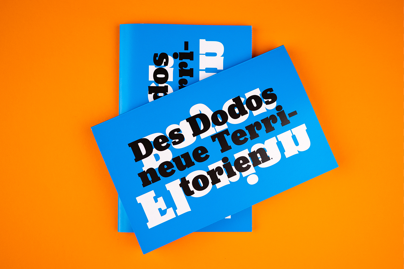 slanted-books-des-dodos-neue-territorien-buch-illustration-ki image 7