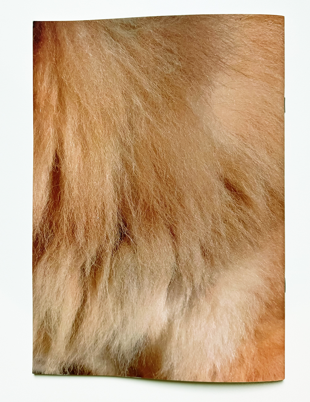 slanted-3-33333333-x-3-vol-1-dogs-in-berlin-buch-bildband image 4