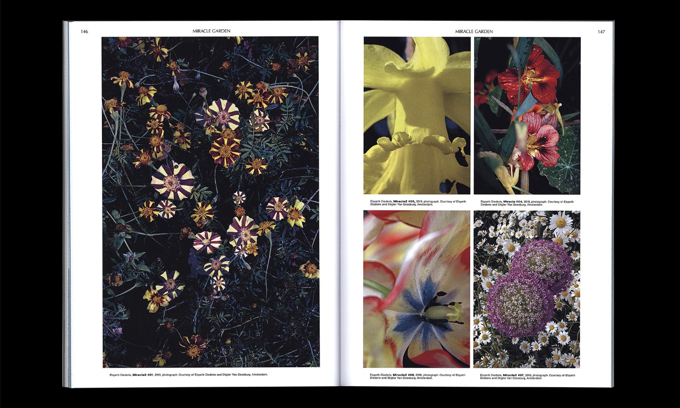 slanted-on-the-necessity-of-gardening-buch-kunst-botanik image 4