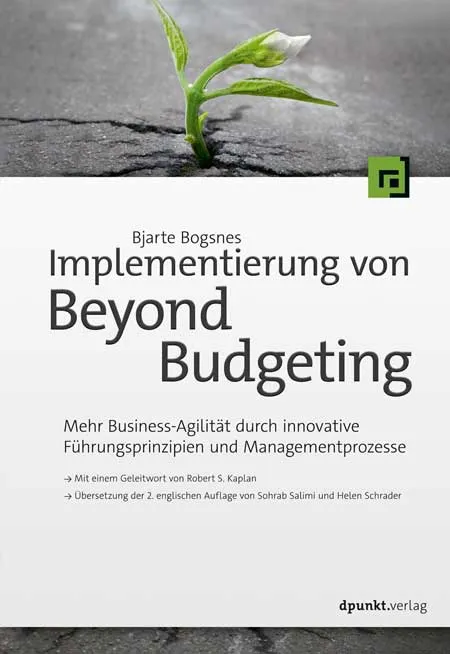 dpunkt-computing-beyond-budgeting-implementierung-buch image 1