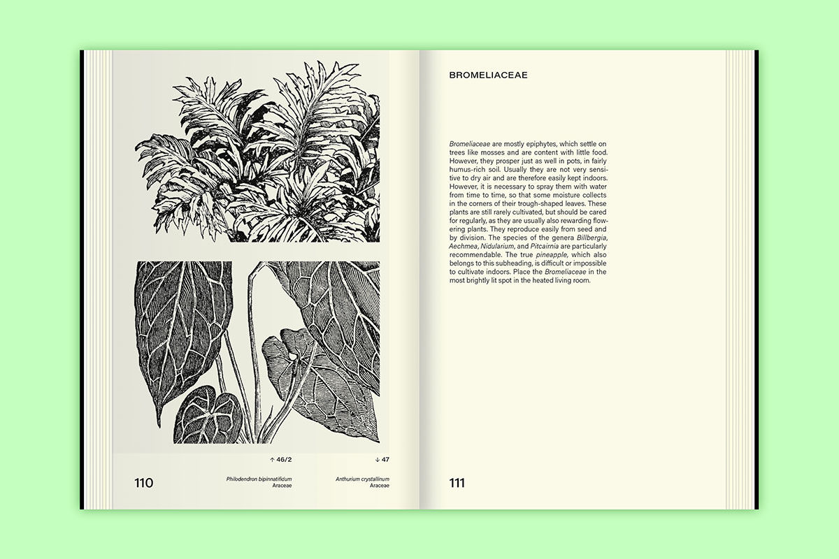 slanted-books-leafy-house-plants-buch-zimmerpflanzen image 8