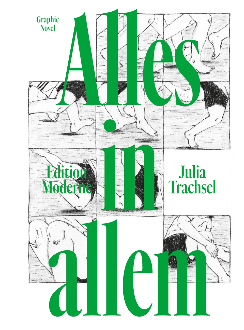 edition-moderne-alles-in-allem-graphic-novel-buch-julia-trachsel image 1