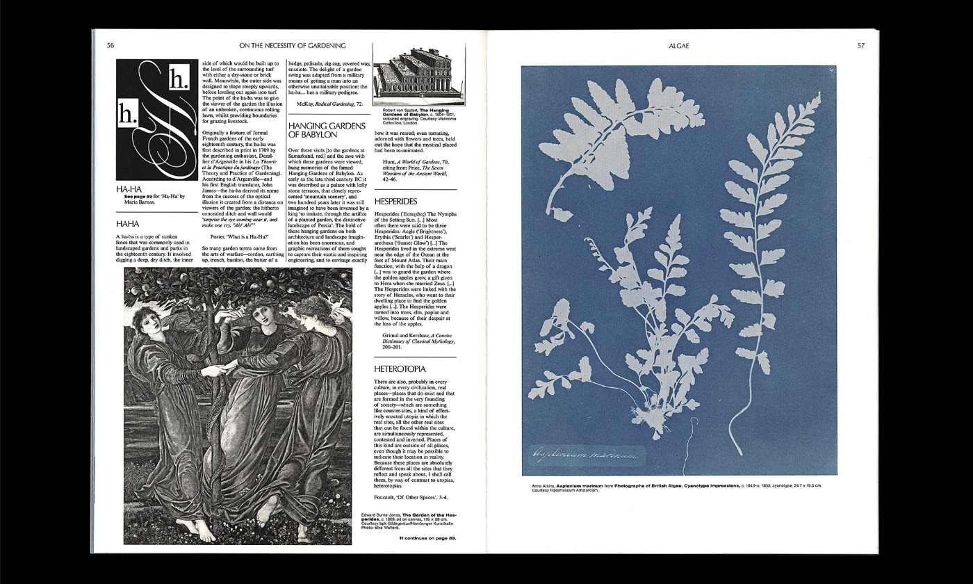 slanted-on-the-necessity-of-gardening-buch-kunst-botanik image 2