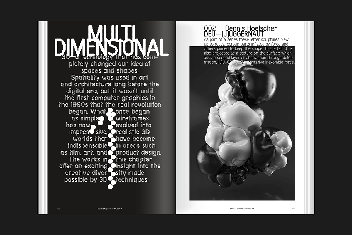 slanted-experimental-type-3-0-buch-typografie-experimentell image 3