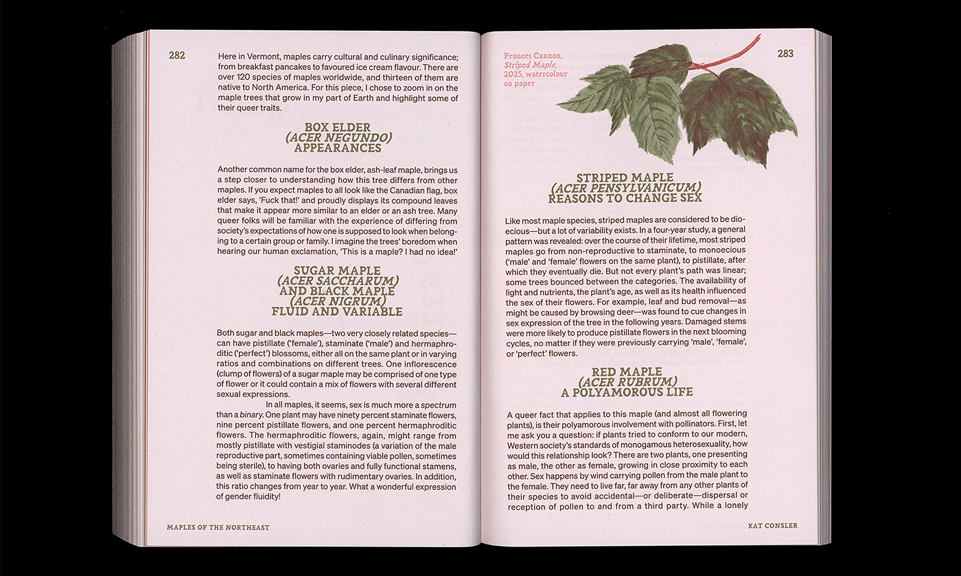 slanted-queer-flora-fauna-and-funga-buch-radical-forage image 4