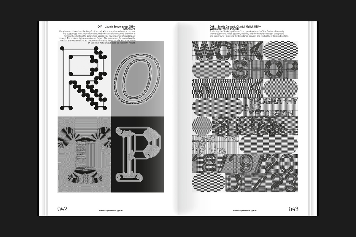 slanted-experimental-type-3-0-buch-typografie-experimentell image 4