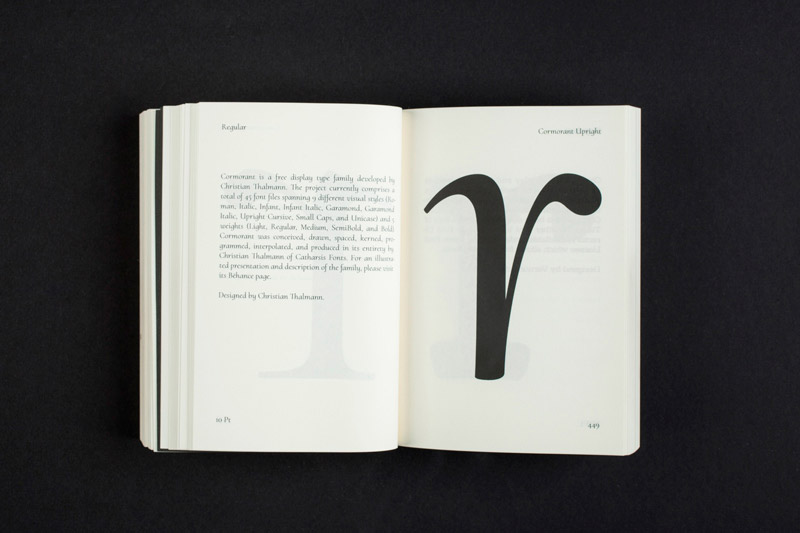 slanted-nice-r-ss-r-rated-material-buch-kunst image 6