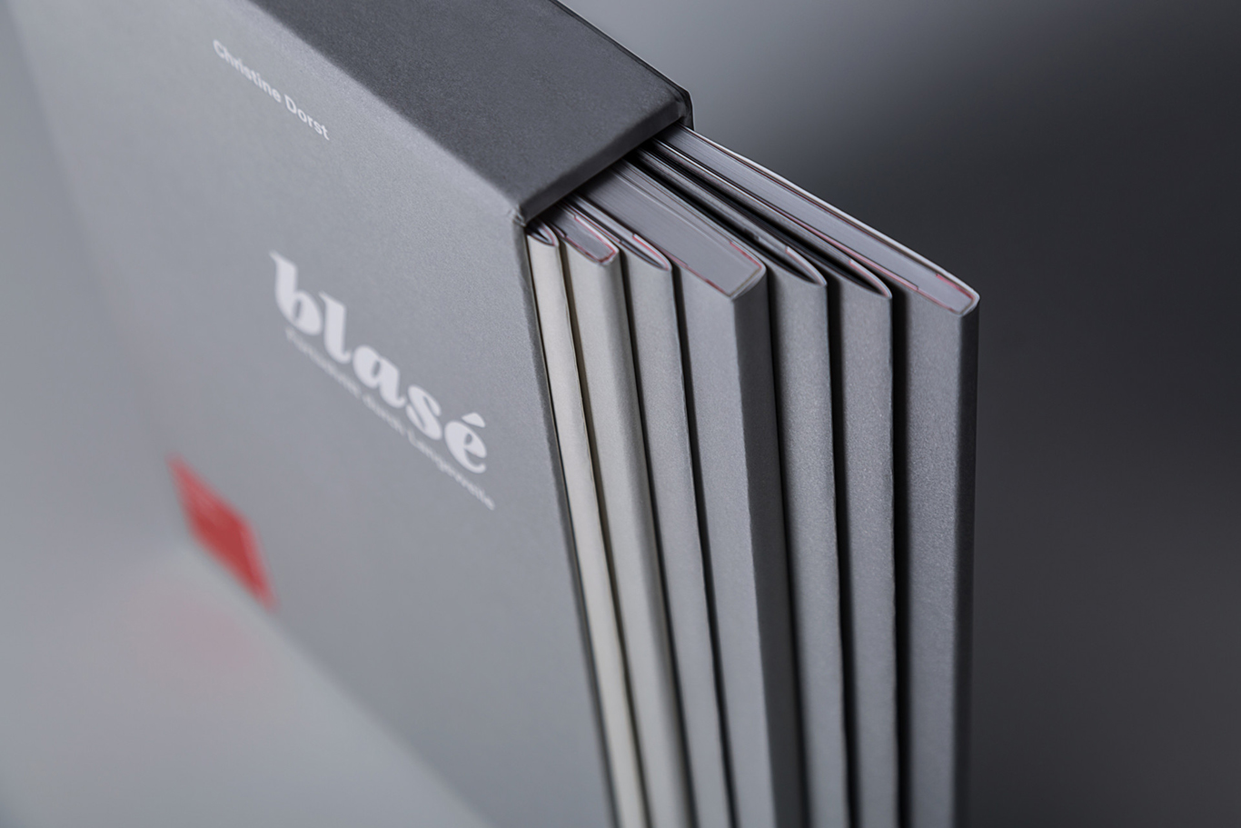 slanted-blas-fortschritt-durch-langeweile-buch-design image 2