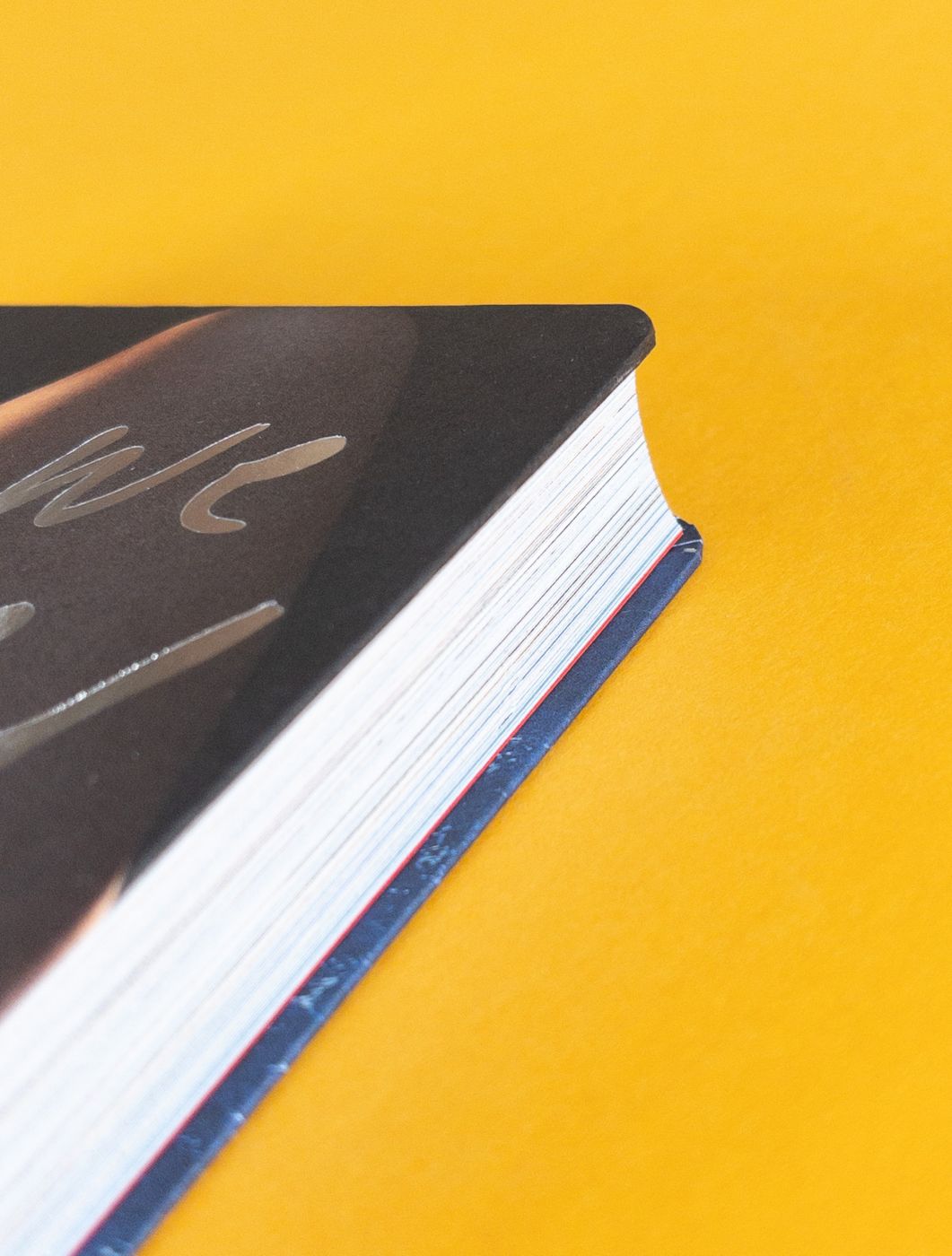 slanted-books-carlotta-guerra-like-we-could-almost-live-forever-bildband image 5