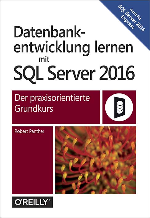 dpunkt-computing-datenbankentwicklung-lernen-mit-sql-server-2016-buch image 2
