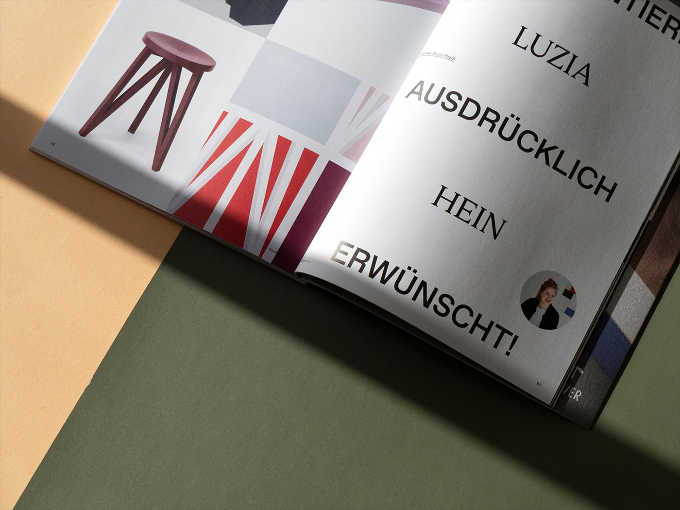 slanted-grafikmagazin-02-22-magazin-wissenschaft-kommunikation image 2