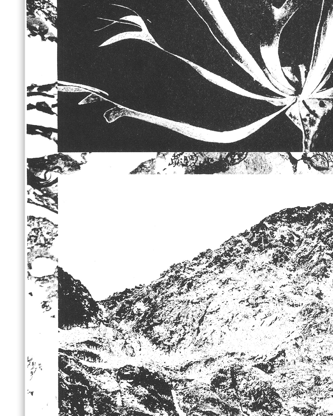 slanted-books-mountains-designbuch-berge image 4