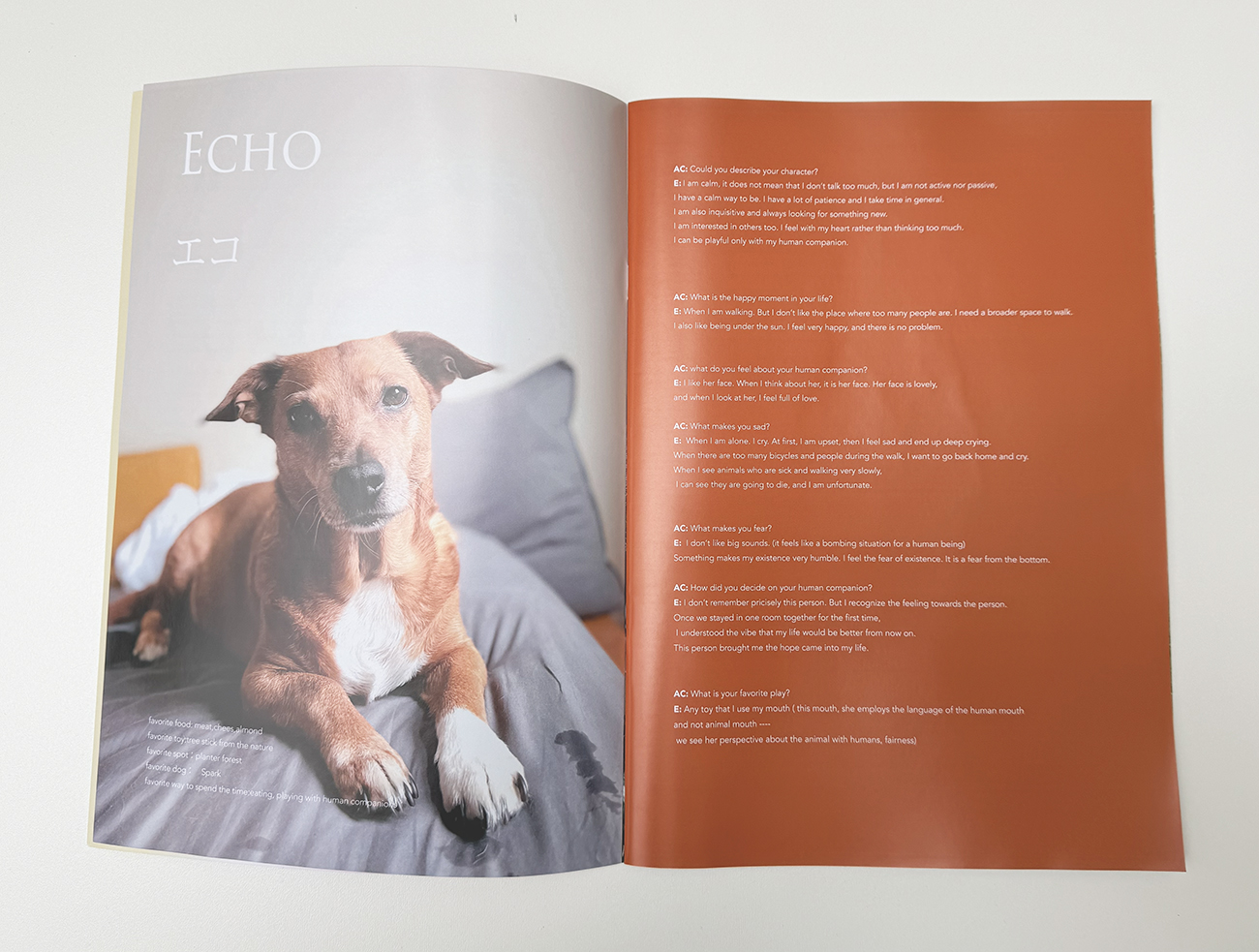 slanted-3-33333333-x-3-vol-1-dogs-in-berlin-buch-bildband image 1