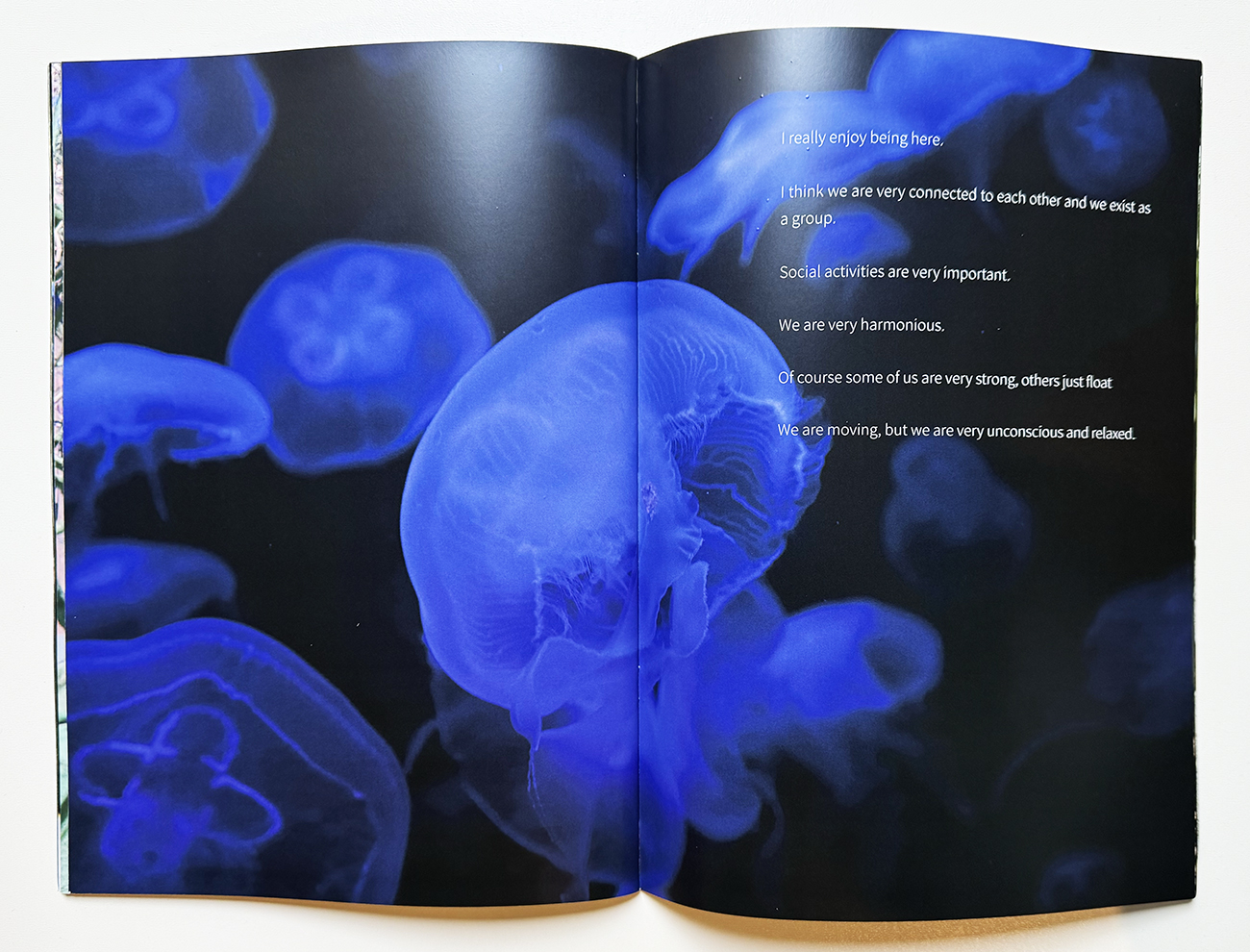 slanted-3-33333333-x-3-vol-2-aquarium-berlin-buch image 2