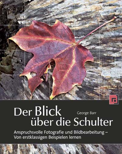 dpunkt-computing-der-blick-ber-die-schulter-buch-it-security image 2
