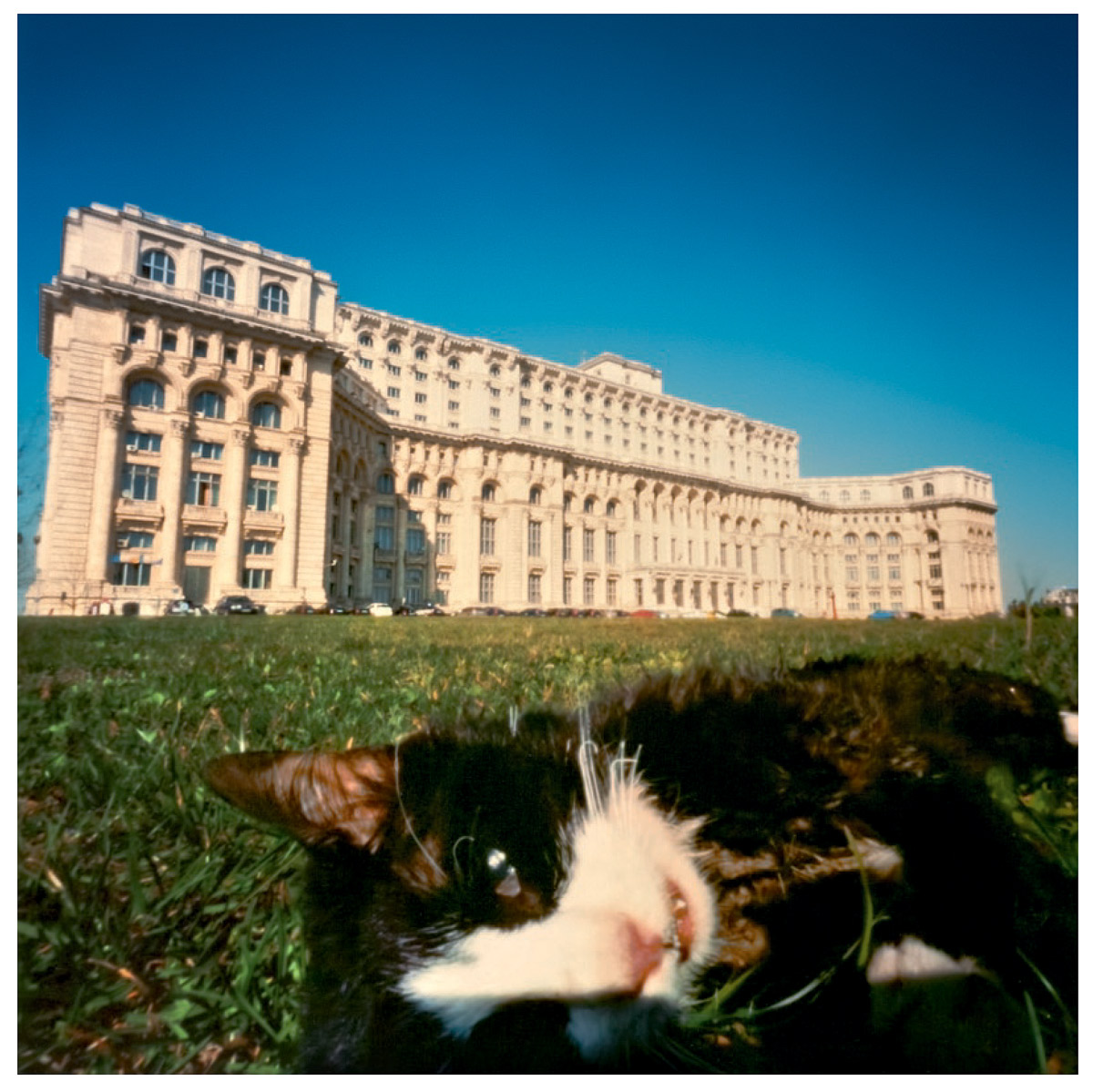 slanted-books-pinhole-shots-2000-2011-buch-fotografie image 2