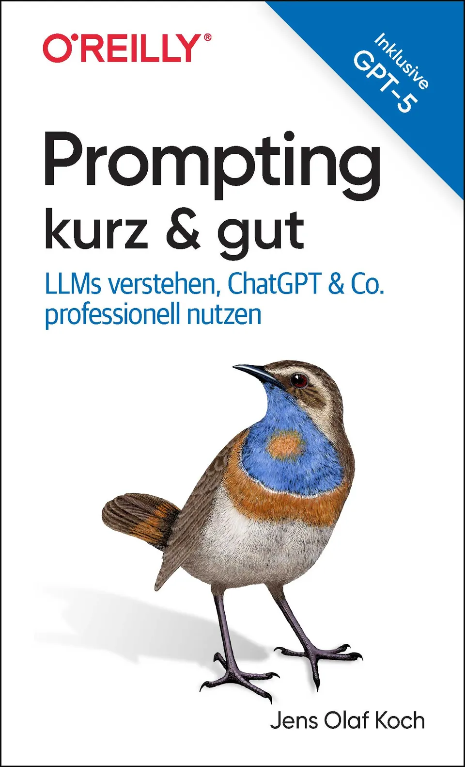 dpunkt-prompting-kurz-gut-buch-llm-chatgpt-praxis image 1