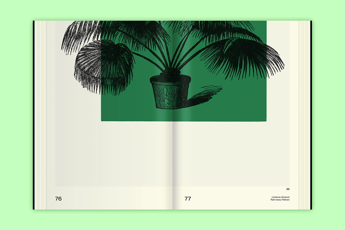 slanted-books-leafy-house-plants-buch-zimmerpflanzen image 5