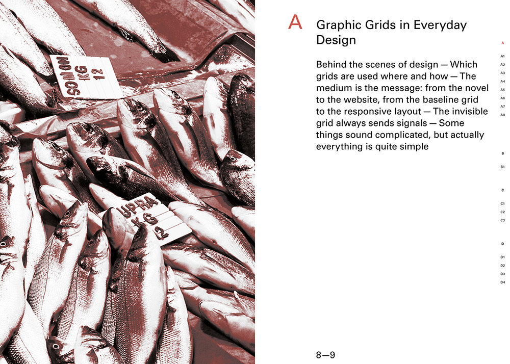 slanted-structuring-design-buch-graphic-grids-raster image 2