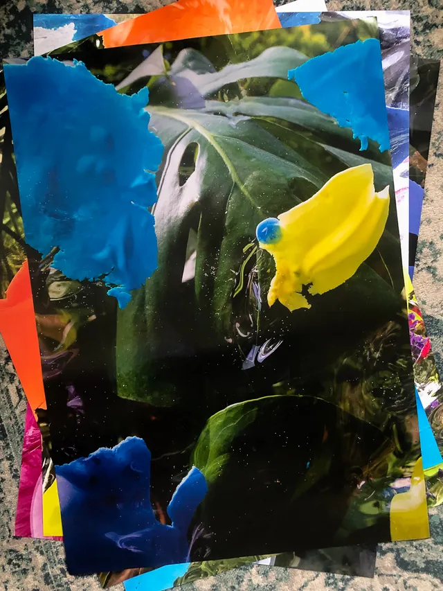 slanted-monstera-no-1-buch-design-botanik-ausgabe image 1
