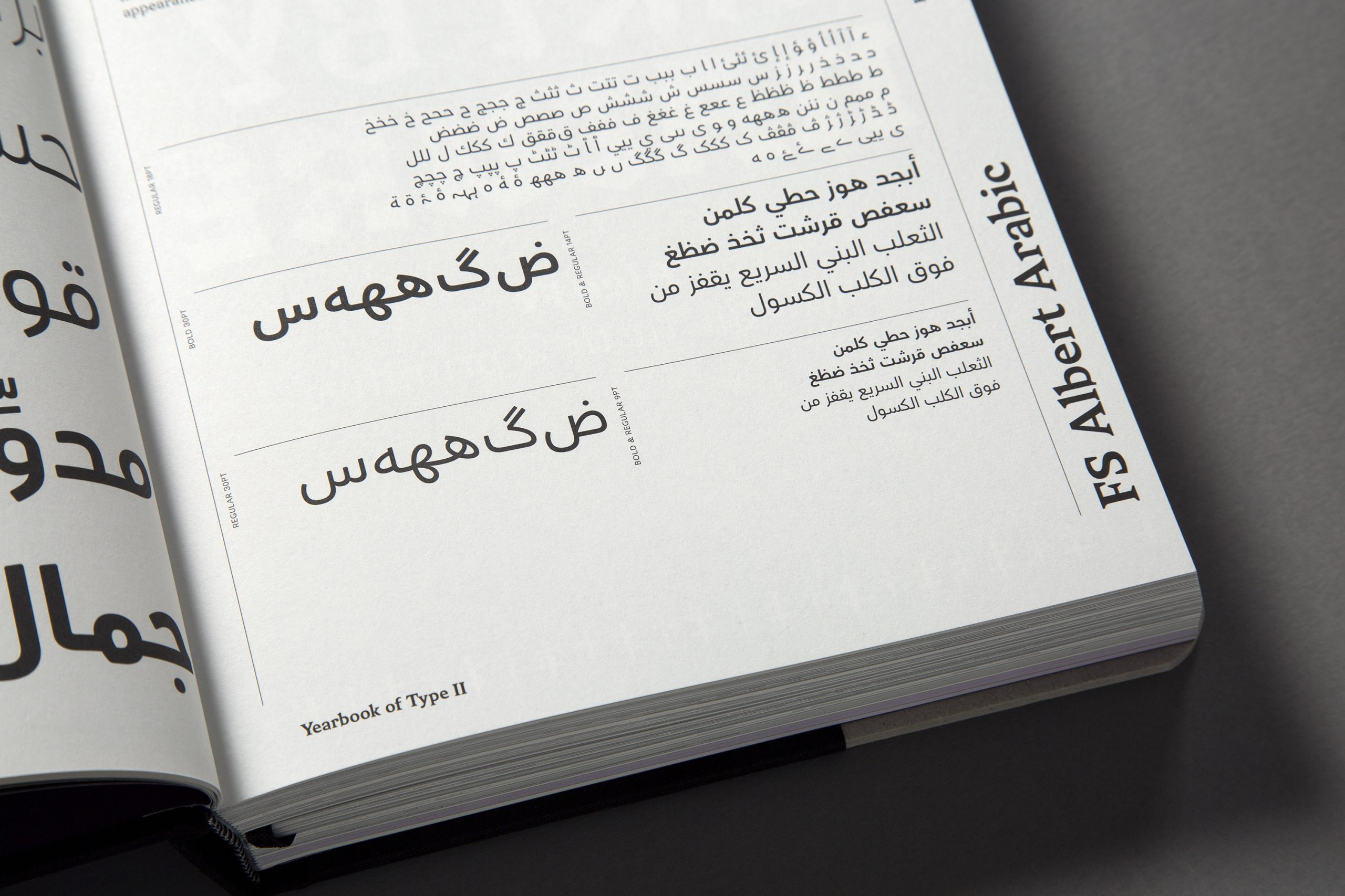 slanted-books-yearbook-of-type-ii-buch-typografie-schriften image 5