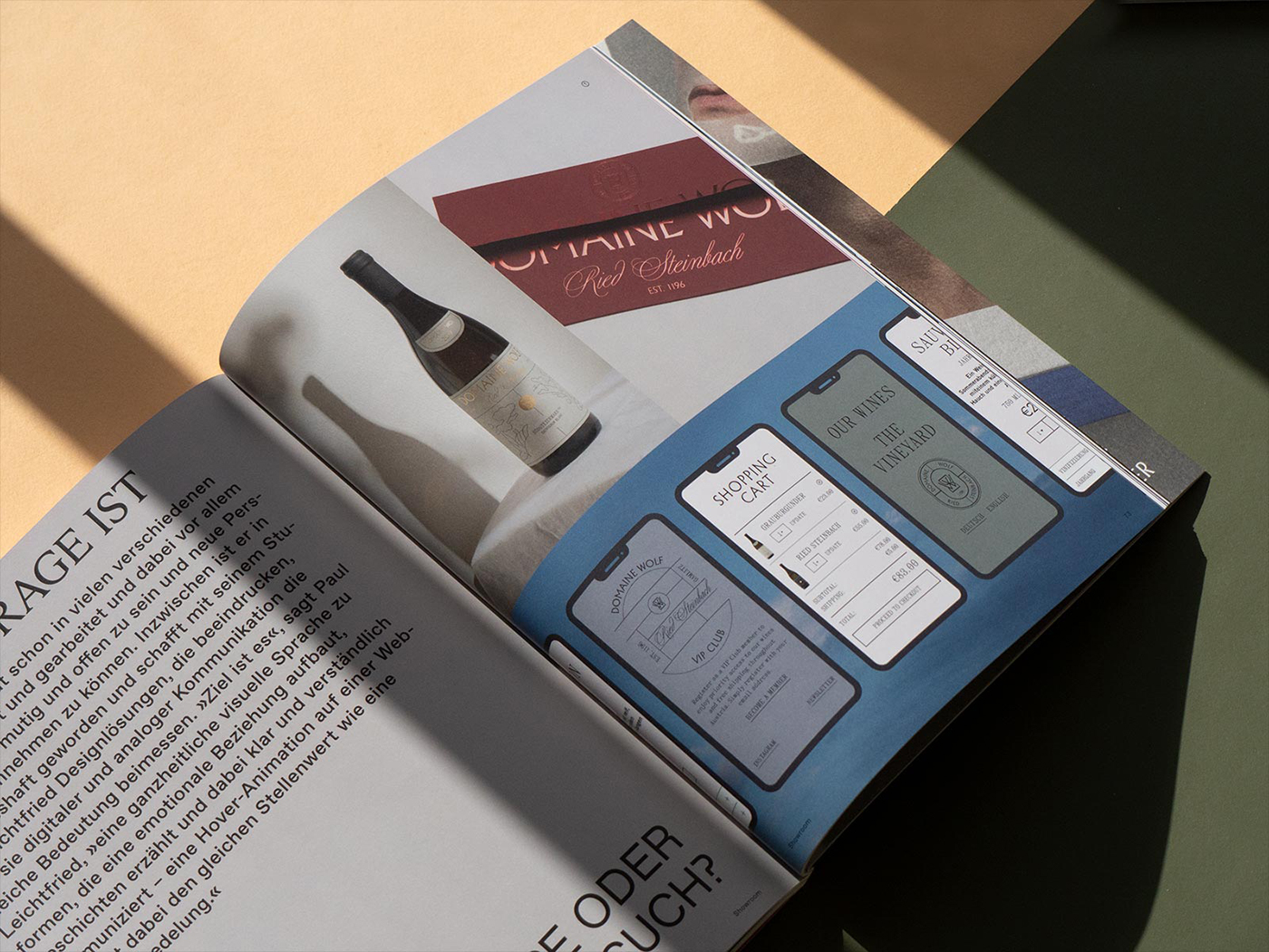slanted-magazines-grafikmagazin-01-22-heft-illustration-designmagazin image 4